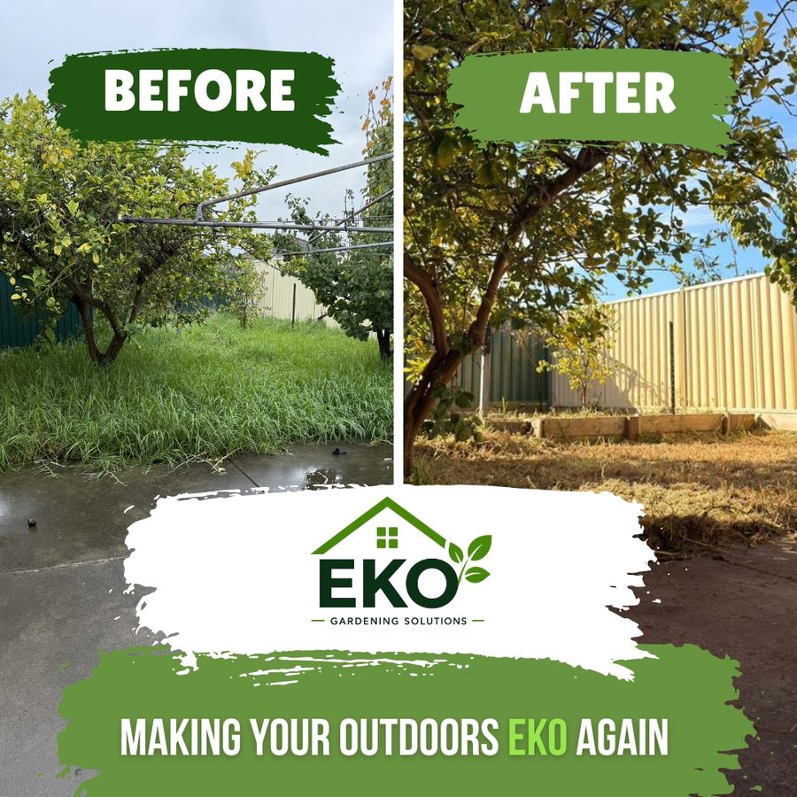 EKO backyard transformation