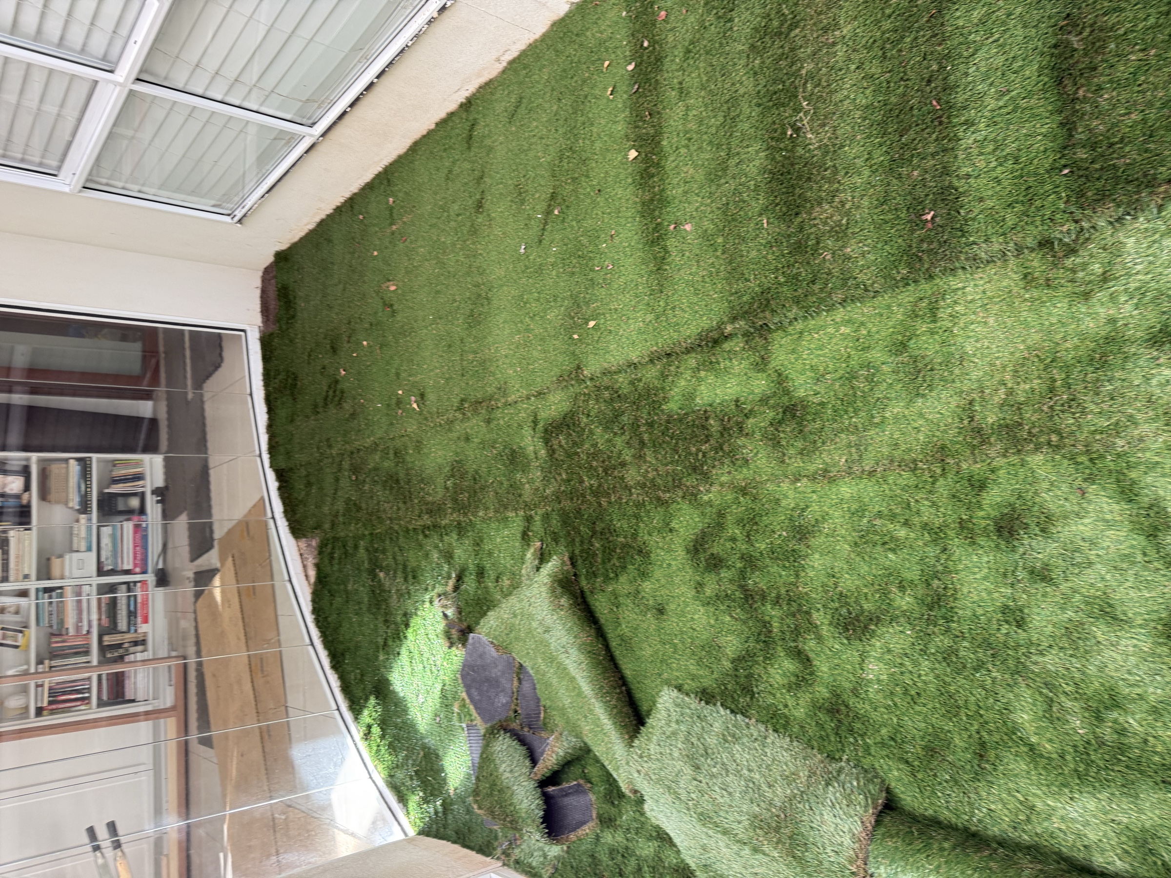 Completed enclosed courtyard with a clean lawn finish