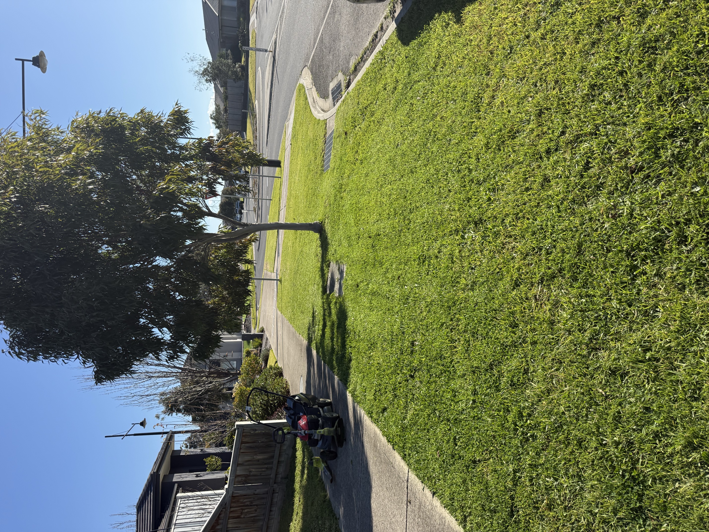 Freshly maintained lawn and nature strip