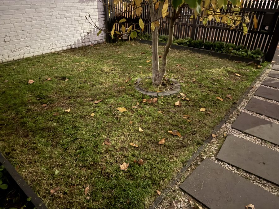 EKO garden cleanup result