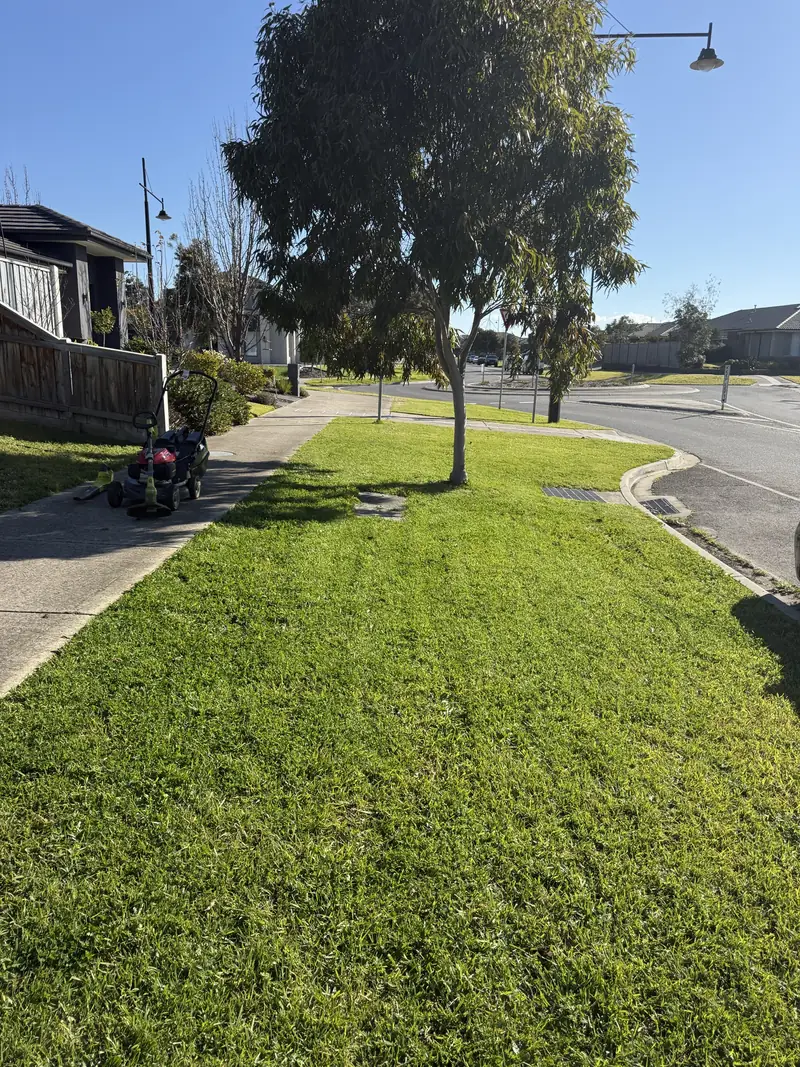 A mown nature strip and lawn beside a Melbourne home