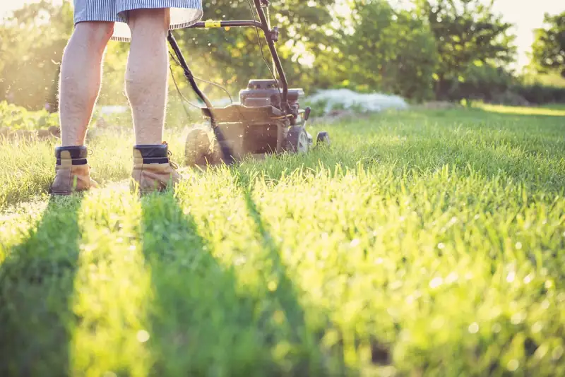 Mowing a lawn in the late afternoon sun (stock photo)