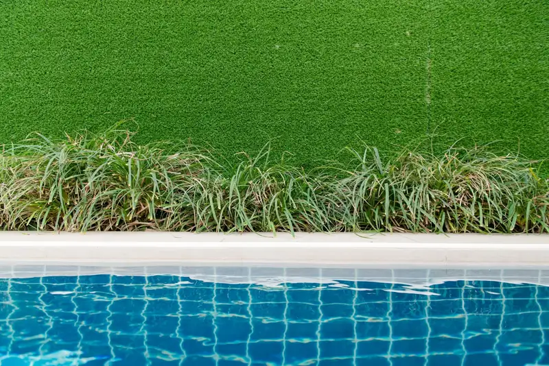 Grass running up to the edge of a pool (stock photo)