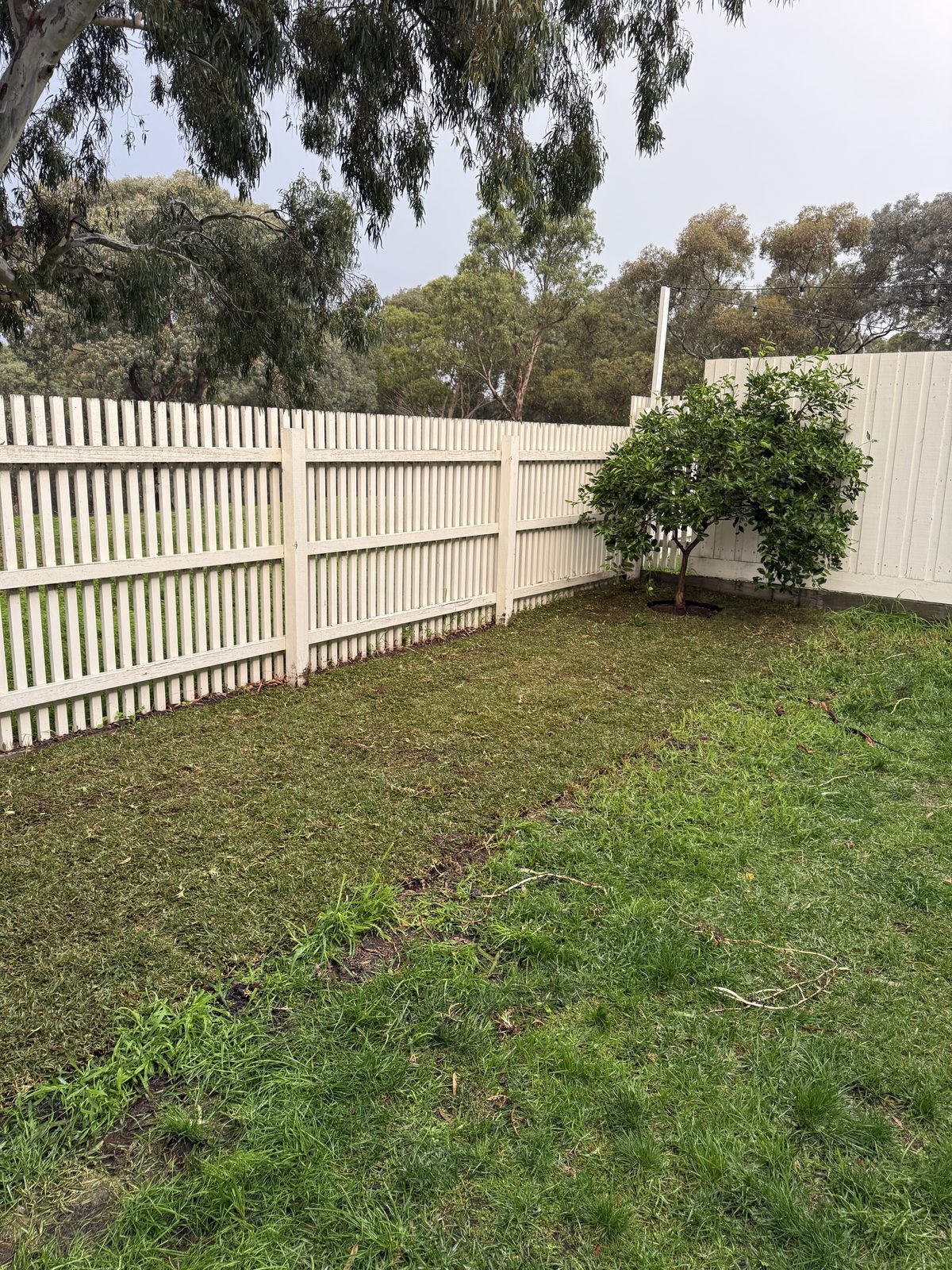 Fresh turf laid by EKO Gardening Solutions