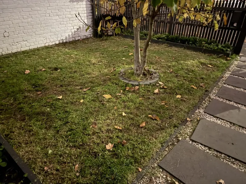 Example of lawn mowing and garden tidy by EKO Gardening Solutions