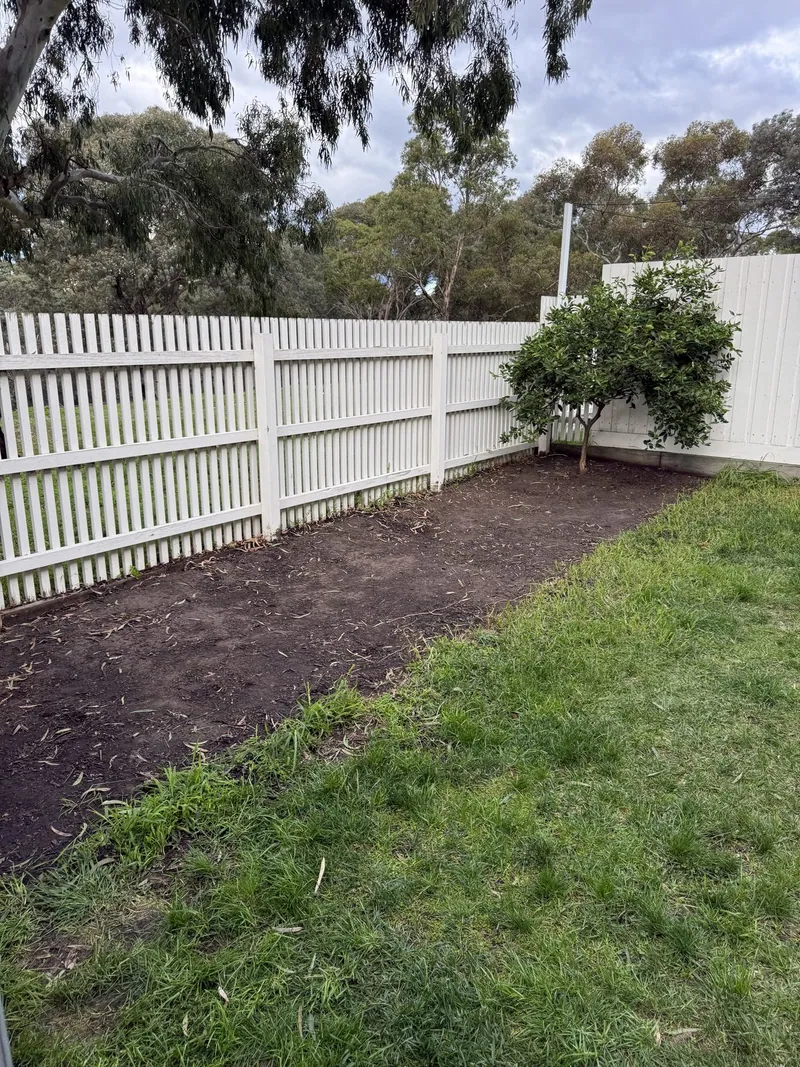 Lawn area cleared and prepared around an established tree