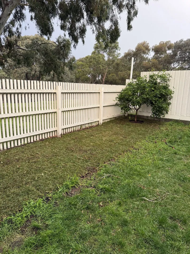 Existing lawn reduced and prepared for a fresh lawn installation