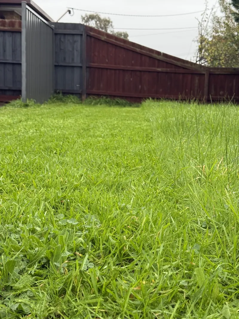 Example of lawn mowing by EKO Gardening Solutions
